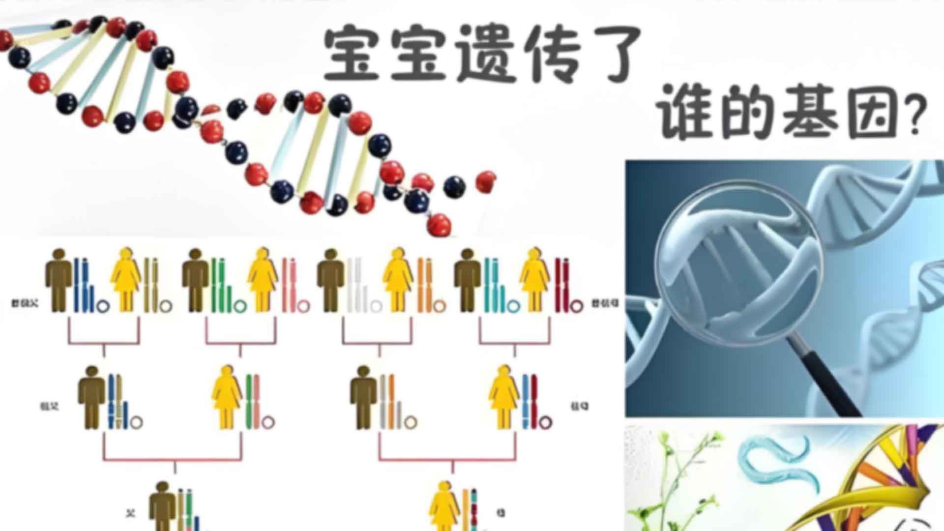 昆明五华区产前亲子鉴定一次要多少钱