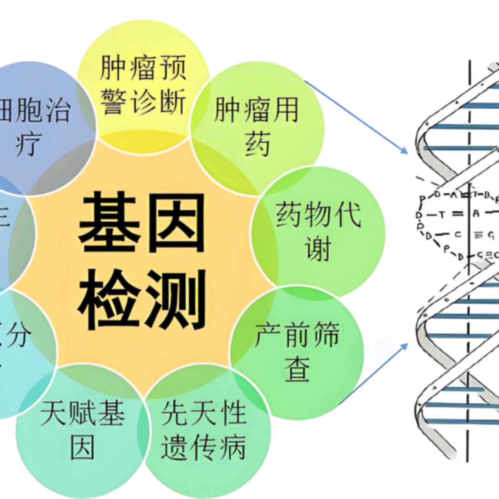 昆明五华区孕期亲子鉴定需要注意什么